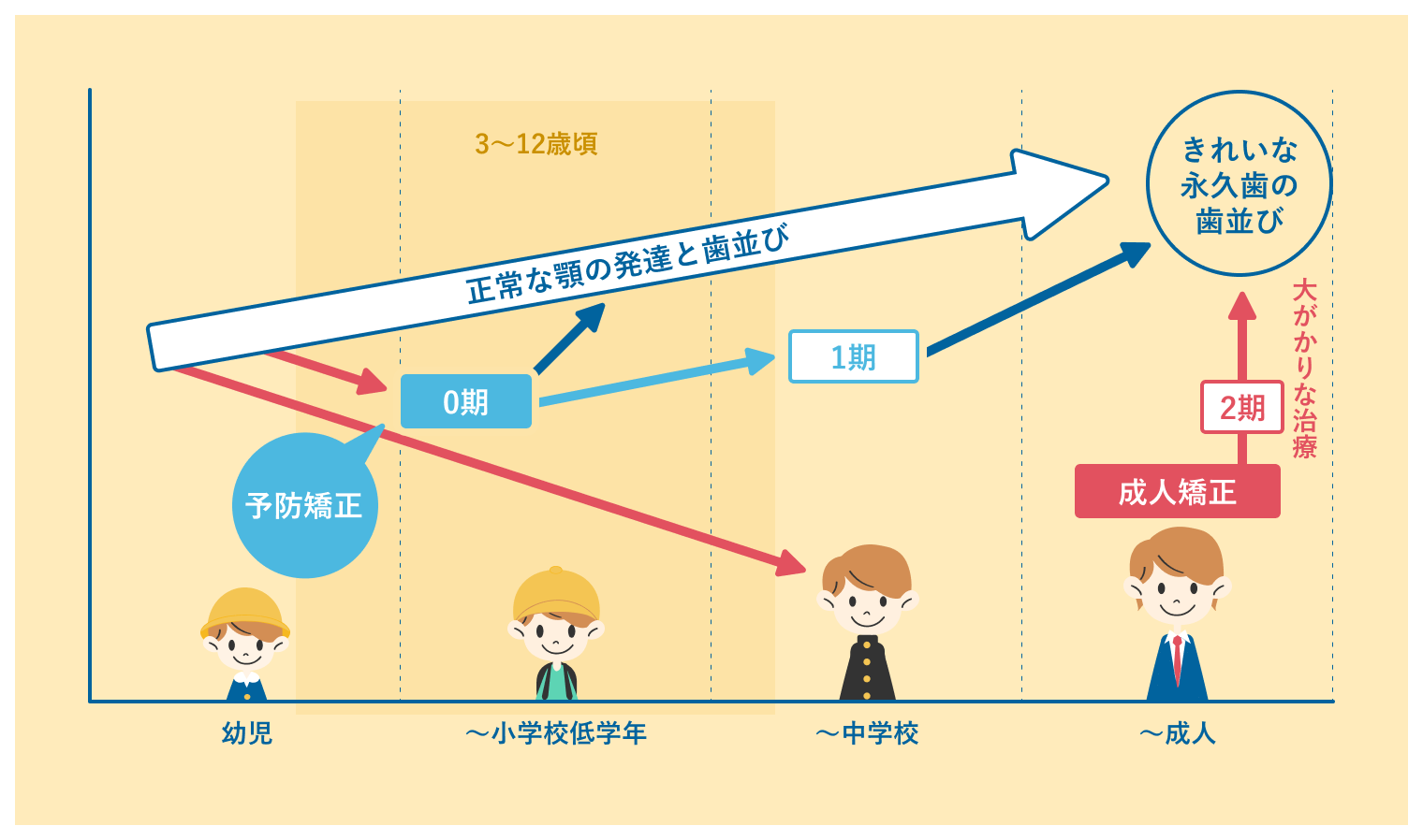 矯正を始める時期グラフ